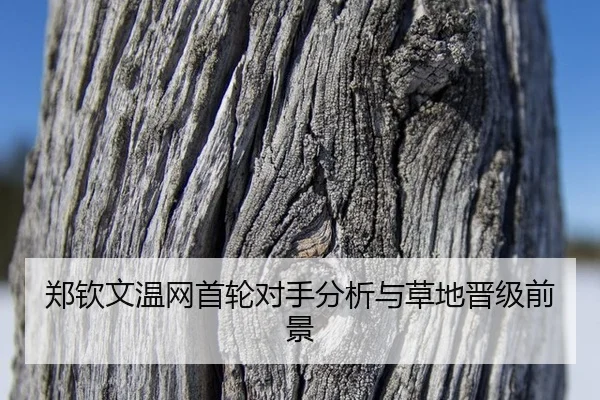 zheng-qin-wen-wen-wang-shou-lun-dui-shou-fen-xi-yu-cao-di-jin-ji-qian-jing-3-550.jpg